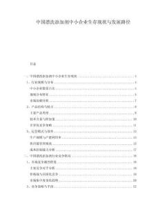 中國漂洗添加劑中小企業(yè)生存現(xiàn)狀與發(fā)展路徑