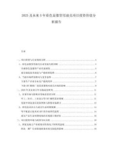 2025及未來5年彩色顯像管用玻殼項目投資價值分析報告