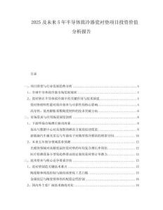 2025及未來5年半導體致冷器瓷襯墊項目投資價值分析報告