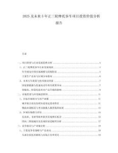 2025及未來(lái)5年正三輪摩托客車項(xiàng)目投資價(jià)值分析報(bào)告