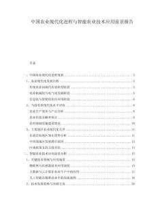 中國(guó)農(nóng)業(yè)現(xiàn)代化進(jìn)程與智能農(nóng)業(yè)技術(shù)應(yīng)用前景報(bào)告