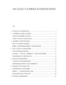 2025及未來5年叉型裸端頭項目投資價值分析報告