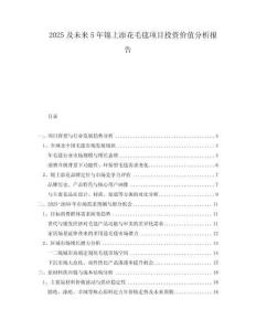 2025及未來5年錦上添花毛毯項目投資價值分析報告
