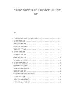 中國漂洗添加劑行業(yè)社群營銷效果評(píng)估與用戶裂變策略
