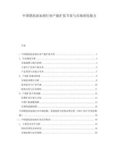中國(guó)漂洗添加劑行業(yè)產(chǎn)能擴(kuò)張節(jié)奏與市場(chǎng)消化能力