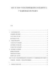 2025至2030中國水管路檢漏系統(tǒng)行業(yè)發(fā)展研究與產(chǎn)業(yè)戰(zhàn)略規(guī)劃分析評估報告