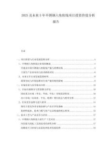 2025及未來5年不銹鋼六角軟線項目投資價值分析報告