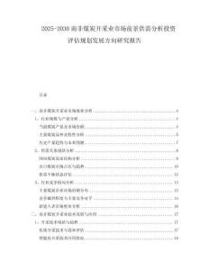 2025-2030南非煤炭開(kāi)采業(yè)市場(chǎng)前景供需分析投資評(píng)估規(guī)劃發(fā)展方向研究報(bào)告