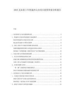 2025及未來5年快速沖擊夯項目投資價值分析報告