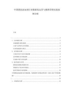 中國漂洗添加劑行業(yè)數(shù)據(jù)化運營與精準營銷實踐案例分析