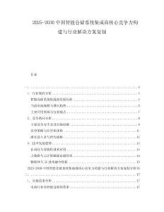 2025-2030中國(guó)智能倉(cāng)儲(chǔ)系統(tǒng)集成商核心競(jìng)爭(zhēng)力構(gòu)建與行業(yè)解決方案復(fù)制