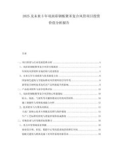 2025及未來5年雙面彩鋼板聚苯復合風管項目投資價值分析報告