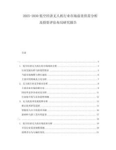 2025-2030低空經(jīng)濟(jì)無人機(jī)行業(yè)市場前景供需分析及投資評估布局研究報告
