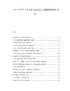 2025及未來(lái)5年皮帶式輸送線項(xiàng)目投資價(jià)值分析報(bào)告