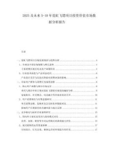 2025及未來5-10年霓虹飛鏢項目投資價值市場數(shù)據(jù)分析報告