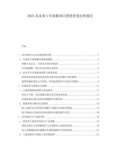 2025及未來5年唇帽項目投資價值分析報告