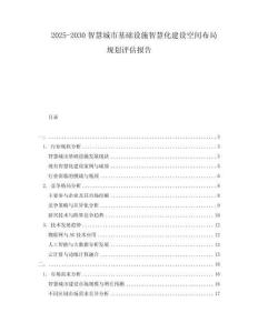 2025-2030智慧城市基礎(chǔ)設(shè)施智慧化建設(shè)空間布局規(guī)劃評估報告