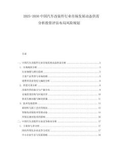 2025-2030中國汽車改裝件行業(yè)市場發(fā)展動態(tài)供需分析投資評估布局風(fēng)險規(guī)劃