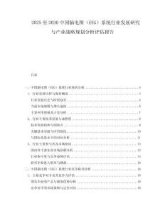 2025至2030中國腦電圖（EEG）系統(tǒng)行業(yè)發(fā)展研究與產業(yè)戰(zhàn)略規(guī)劃分析評估報告