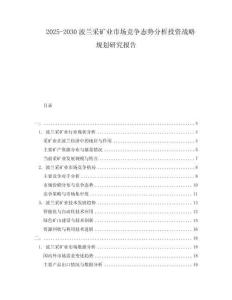 2025-2030波蘭采礦業(yè)市場競爭態(tài)勢分析投資戰(zhàn)略規(guī)劃研究報告