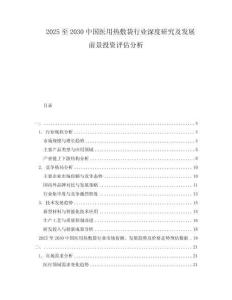 2025至2030中國(guó)醫(yī)用熱敷袋行業(yè)深度研究及發(fā)展前景投資評(píng)估分析