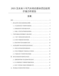 2025及未來5年汽車轉(zhuǎn)向泵體項目投資價值分析報告