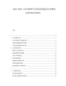 2025-2030工業(yè)互聯(lián)網(wǎng)平臺(tái)商業(yè)化落地及行業(yè)解決方案價(jià)值評(píng)估報(bào)告