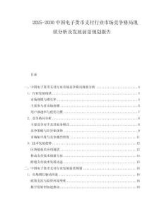 2025-2030中國電子貨幣支付行業(yè)市場(chǎng)競(jìng)爭(zhēng)格局現(xiàn)狀分析及發(fā)展前景規(guī)劃報(bào)告
