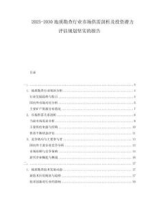 2025-2030地質(zhì)勘查行業(yè)市場(chǎng)供需剖析及投資潛力評(píng)估規(guī)劃堅(jiān)實(shí)的報(bào)告