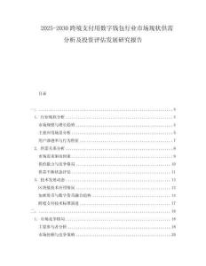 2025-2030跨境支付用數(shù)字錢包行業(yè)市場(chǎng)現(xiàn)狀供需分析及投資評(píng)估發(fā)展研究報(bào)告