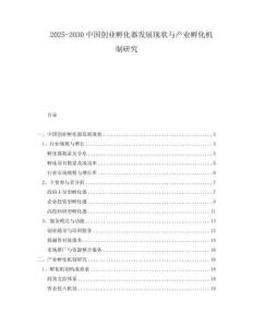 2025-2030中國(guó)創(chuàng)業(yè)孵化器發(fā)展現(xiàn)狀與產(chǎn)業(yè)孵化機(jī)制研究
