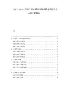 2025-2030中國汽車后市場服務(wù)現(xiàn)狀技術(shù)發(fā)展競爭態(tài)勢分析報告