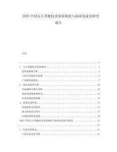 2025中國(guó)無(wú)人駕駛技術(shù)發(fā)展現(xiàn)狀與商業(yè)化前景研究報(bào)告