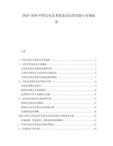 2025-2030中國(guó)文化藝術(shù)基金會(huì)運(yùn)營(yíng)實(shí)踐與市場(chǎng)前景