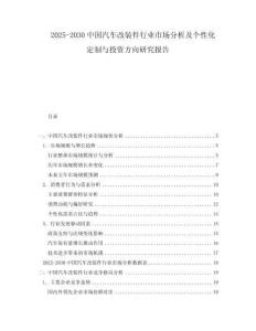 2025-2030中國汽車改裝件行業(yè)市場分析及個性化定制與投資方向研究報告