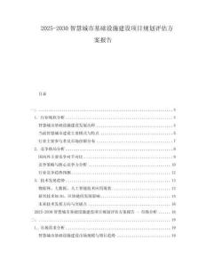 2025-2030智慧城市基礎(chǔ)設(shè)施建設(shè)項目規(guī)劃評估方案報告