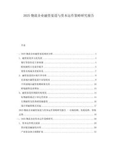 2025物流企業(yè)融資渠道與資本運(yùn)作策略研究報(bào)告