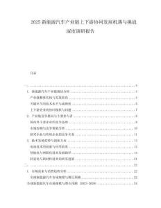 2025新能源汽車產(chǎn)業(yè)鏈上下游協(xié)同發(fā)展機遇與挑戰(zhàn)深度調研報告