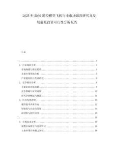 2025至2030遙控模型飛機行業(yè)市場深度研究及發(fā)展前景投資可行性分析報告