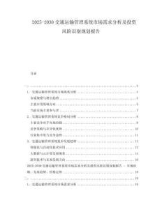 2025-2030交通運輸管理系統(tǒng)市場需求分析及投資風險識別規(guī)劃報告