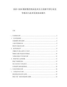 2025-2030精密數(shù)控機床技術自主創(chuàng)新中國行業(yè)競爭格局與技術發(fā)展商業(yè)報告