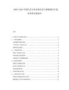 2025-2030中國(guó)汽車(chē)行業(yè)市場(chǎng)競(jìng)爭(zhēng)與新能源汽車(chē)技術(shù)發(fā)展分析報(bào)告