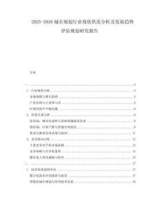 2025-2030城市規(guī)劃行業(yè)現(xiàn)狀供需分析及發(fā)展趨勢評估規(guī)劃研究報告
