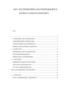 2025-2030智慧城市解決方案開發(fā)現(xiàn)狀深度調(diào)查及商業(yè)模式與市場應(yīng)用全面研究報告