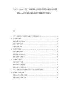 2025-2030中國工業(yè)機(jī)器人應(yīng)用系統(tǒng)集成行業(yè)市場解決方案分析及技術(shù)提升規(guī)劃研究報告