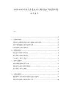 2025-2030中國(guó)動(dòng)力電池回收利用技術(shù)與政策環(huán)境研究報(bào)告