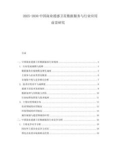 2025-2030中國(guó)商業(yè)遙感衛(wèi)星數(shù)據(jù)服務(wù)與行業(yè)應(yīng)用前景研究