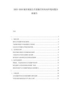 2025-2030城市規(guī)劃公共設(shè)施空間布局環(huán)境問題分析報告