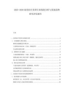 2025-2030南美醫(yī)療美容行業(yè)現(xiàn)狀分析與發(fā)展趨勢(shì)研究評(píng)估報(bào)告