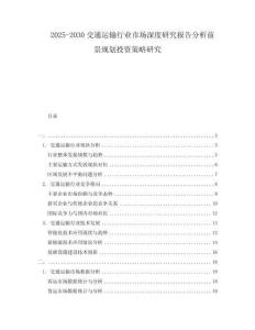 2025-2030交通運(yùn)輸行業(yè)市場深度研究報(bào)告分析前景規(guī)劃投資策略研究